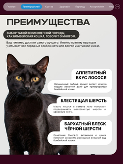 Корм сухой для взрослых кошек породы Бомбейская кошка, с лососем, 2 кг, QUATTRO