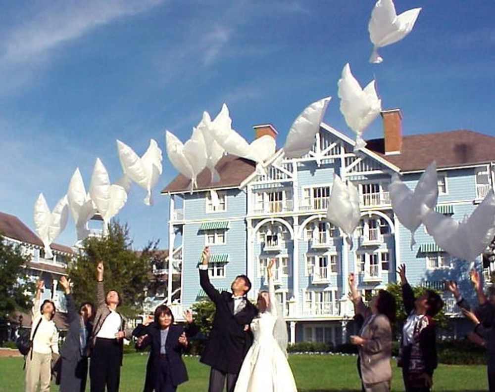 Шар (34"/86 см) Фигура, Голубь, Белый 1 шт.