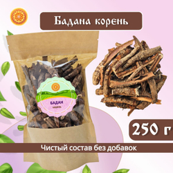 Бадан корень.