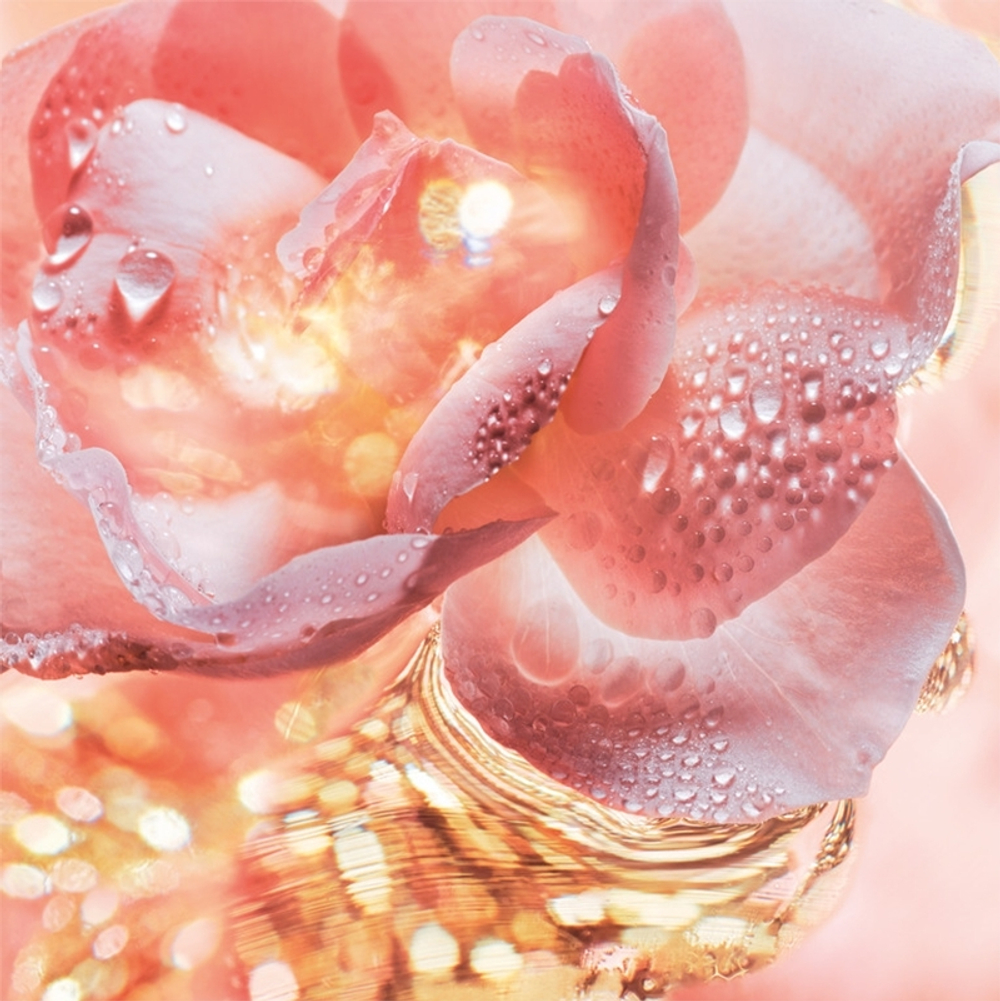 BVLGARI Rose Goldea Eau de Parfum парфюмерная вода женская