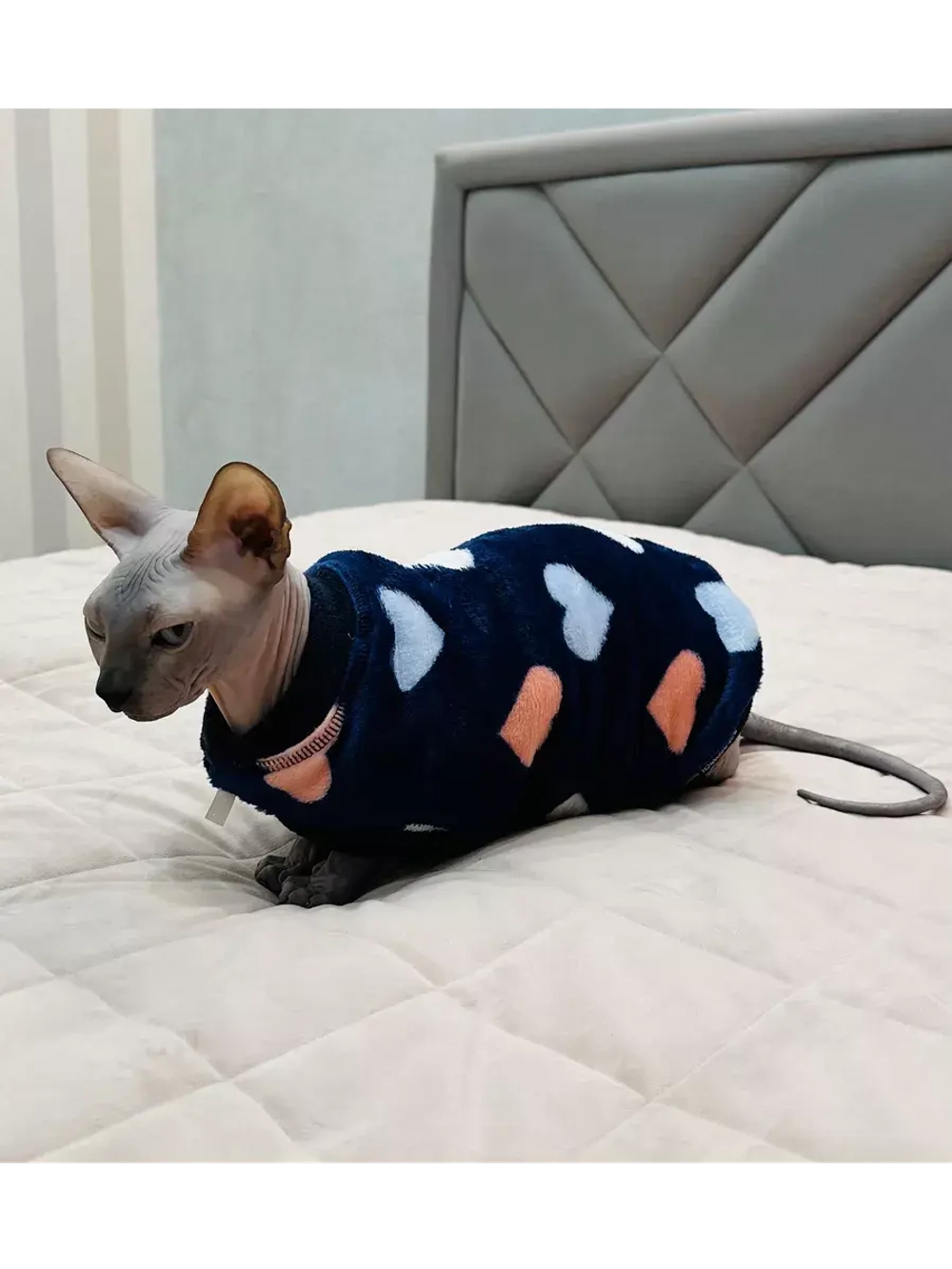 Одежда свитер для сфинксов кошек