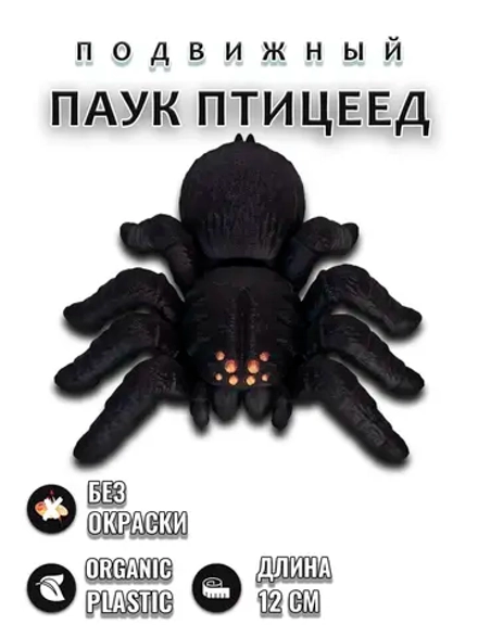 Паук