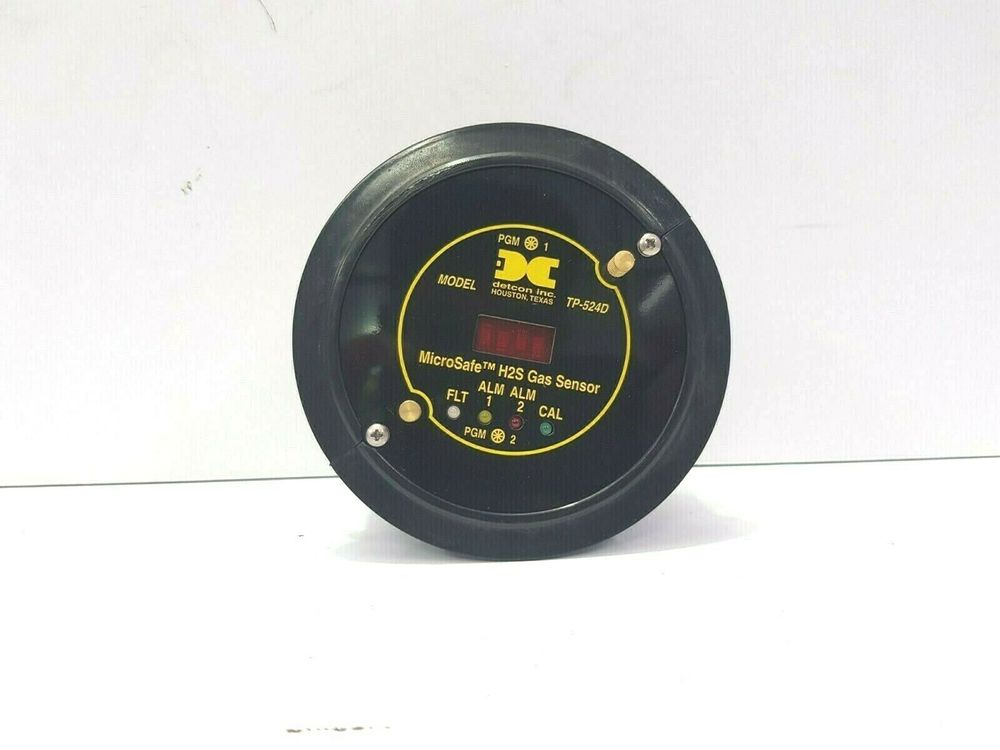 MICROSAFE™ H2S
