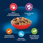 Felix Двойная вкуснятина сухой корм для взрослых кошек с птицей - 1,3 кг