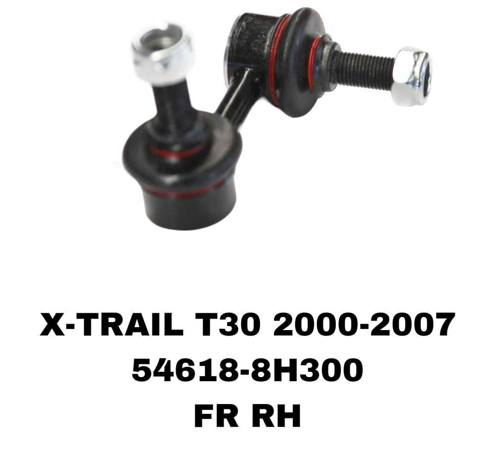 СЕРЬГИ TERRANO R51