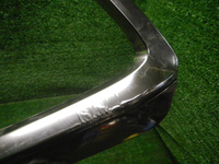 DSCN0306.JPG