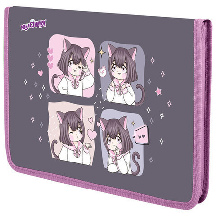 Папка для труда на молнии ЮНЛАНДИЯ А4, 1 отделение, откидная планка, органайзер, "Anime dreamer", 273393