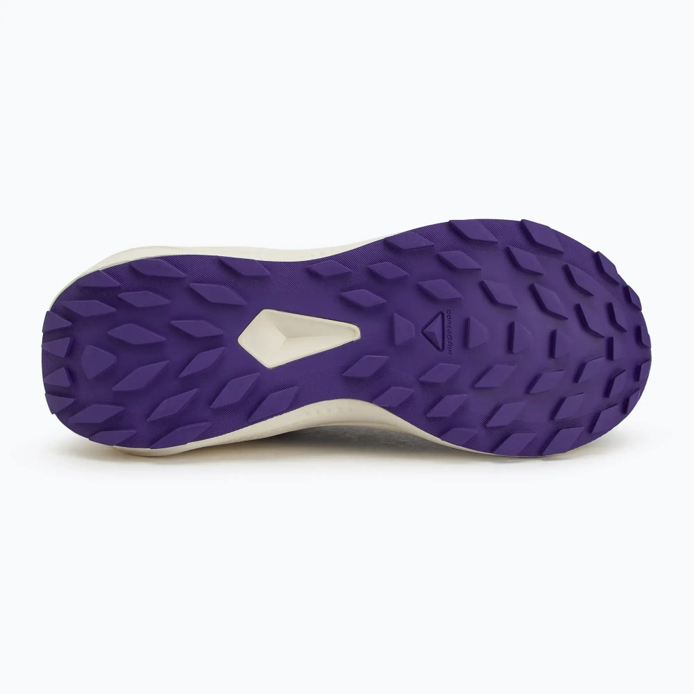 Женские Кроссовки для бега Salomon Alphaglide phantom/vanilla ice/liberty