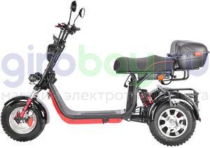 Электроскутер WHITE SIBERIA PRO TRIKE 3000W OFF-ROAD (Черный) фото №5