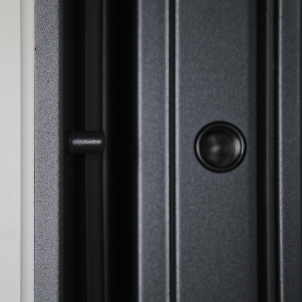 Входная дверь в квартиру  АСД Интер  2К  с зеркалом Муар серый / Зеркало Ясень белый снег