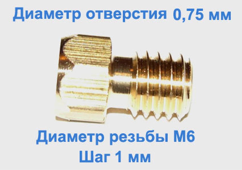 Жиклер диаметром резьбы М 6 с шагом 1 мм с отверстием 0,75 мм