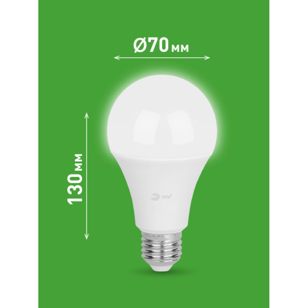 Лампа светодиодная ЭРА GREEN LINE LED A65-30W-840-E27 GL 30Вт груша яркий белый свет E27 | Лампы cветодиодные Груша (A)