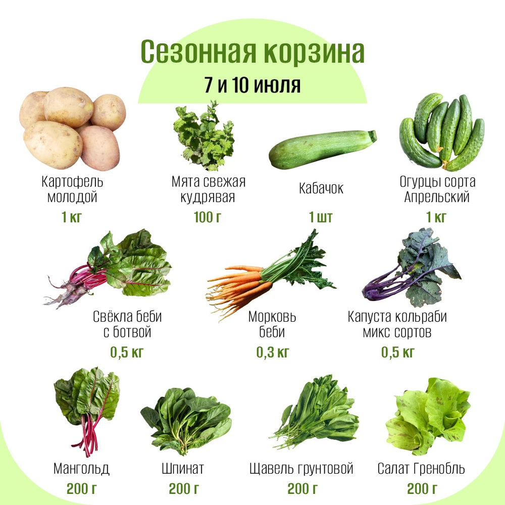 Сезонная корзина