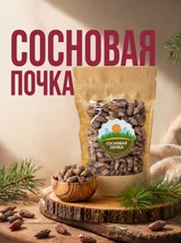 Сосновая почка