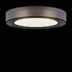 Накладной светильник Freya Zoticus FR6005CL-L48G