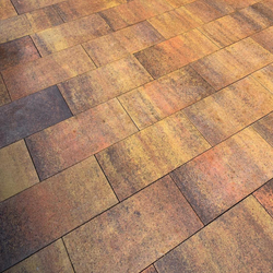 Тротуарная плитка ПРЯМОУГОЛЬНИК 600х300 мм - Листопад гранит Саванна