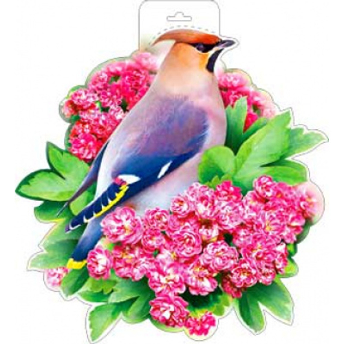 Плакат "Свиристель в цветах"