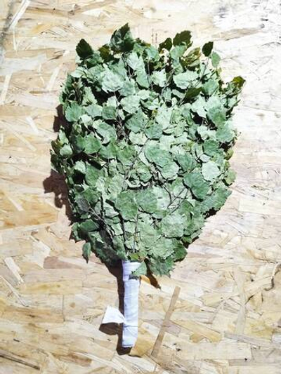 Веник Березовый