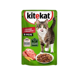 Kitekat POU 48x85g рагу с говядиной
