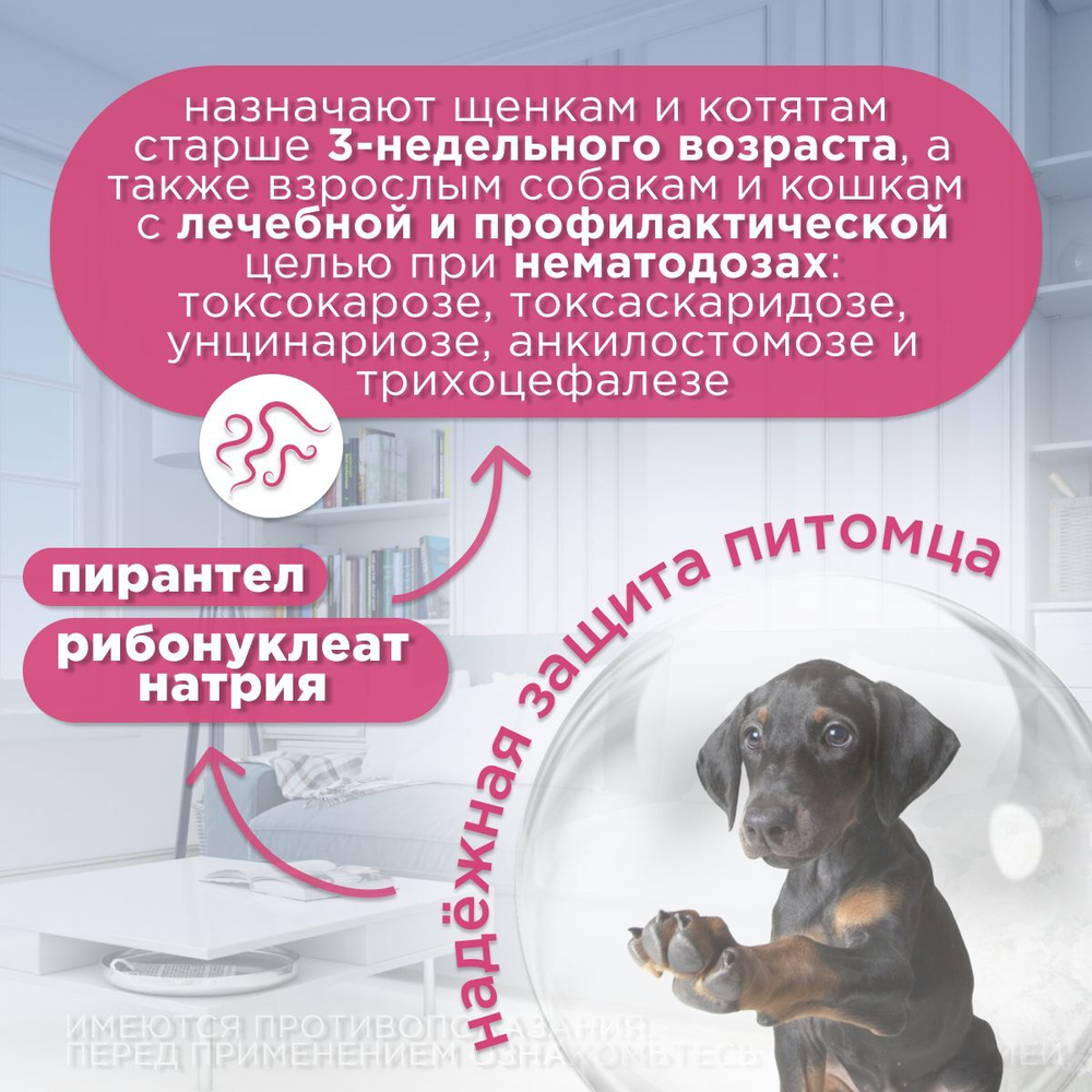 Суспензия АВЗ ДИРОНЕТ джуниор для щенков и котят, 15мл
