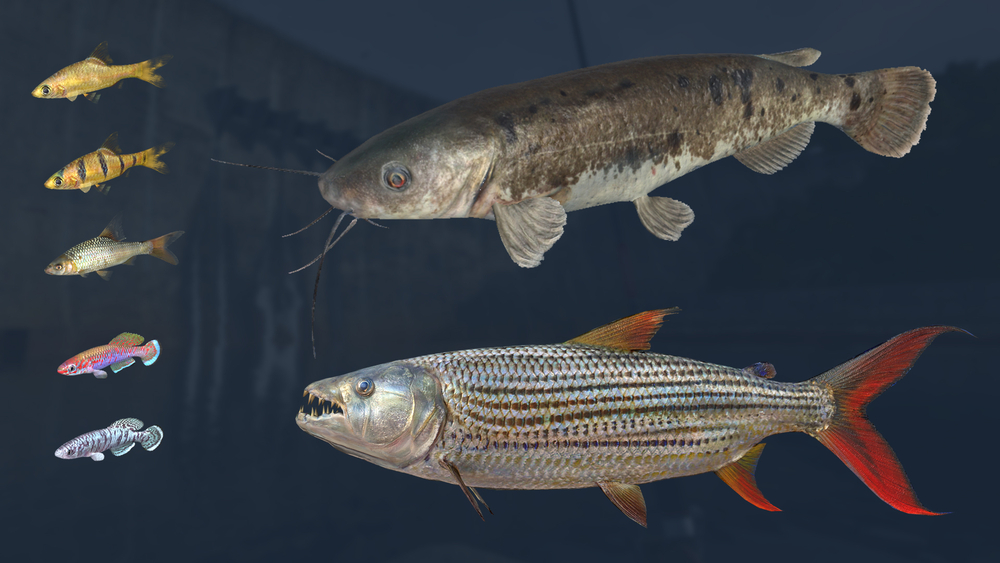 Ultimate Fishing Simulator - Kariba Dam (для ПК, цифровой код доступа)