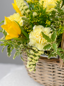 Перед рассветом