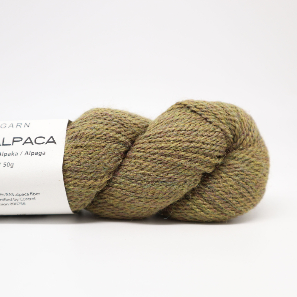 BC Garn Babyalpaca - 120 (индийские специи) RAS