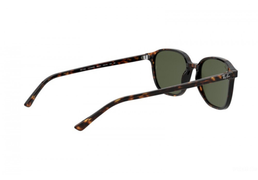 RAY-BAN LEONARD RB2193 902/31