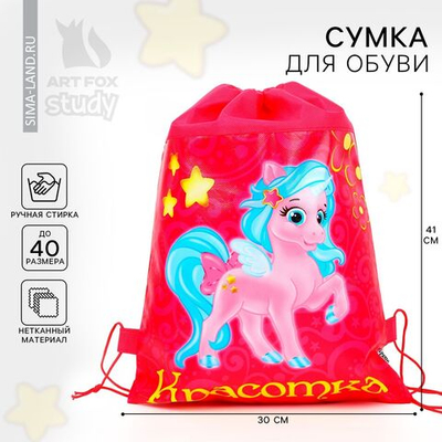 Мешок для обуви «Красотка» непромокаемое полотно 30 х 40 см