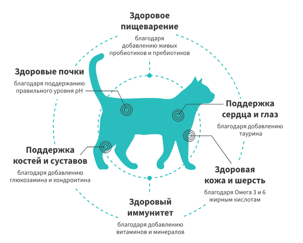 GRANDORF FRESH Свежее филе лосося с бататом для стерилизованных или пожилых кошек