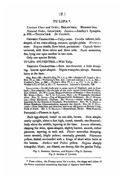 British phaenogamous botany, or, figures and descriptions of the genera of British flowering plants. Volume 1 | William Baxter