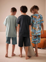 Пижама для мальчика Next E68-073, 3 шт., Черный, Серый, Белый