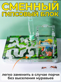 Муравьиная ферма с муравьями в подарок «Стартовая Мох»