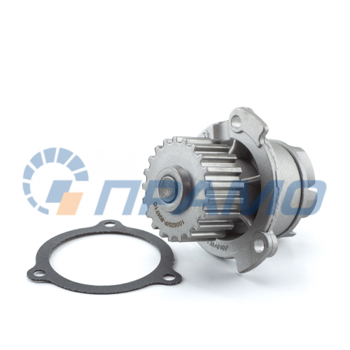 2108.1307010P (ПРАМО) Помпа