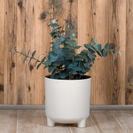 Кашпо ШЭНК 13,5л D280мм H=287мм вставка и автополив, с индикатором уровня воды, на ножках