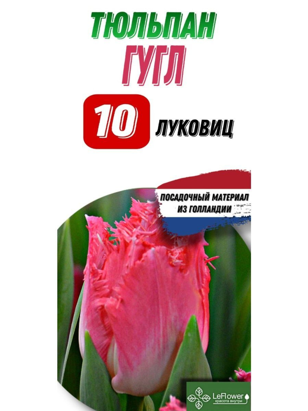 Тюльпан Луковица, Гугл, 10шт