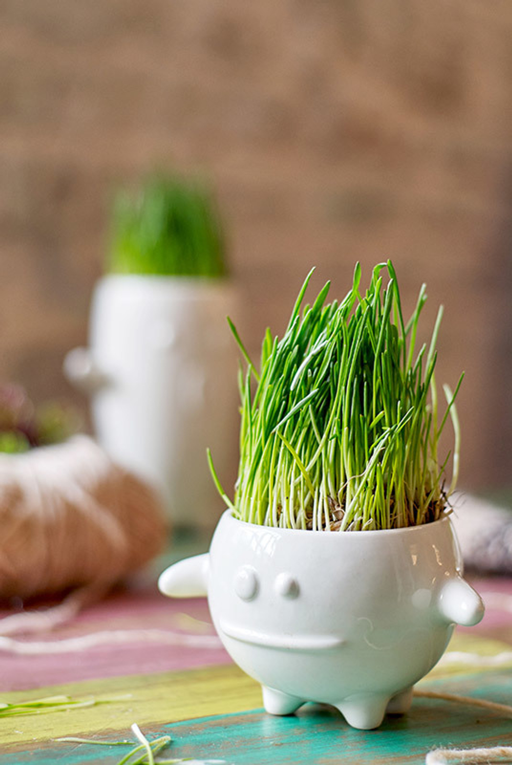Набор для выращивания eco Кру