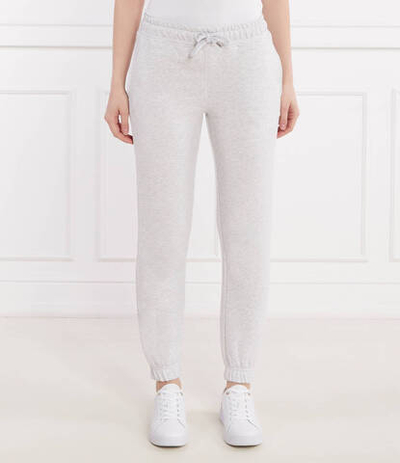 Спортивные штаны Gant - серый(4200709)