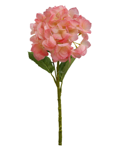 Гортензия с зубчиками соцветие (без стебля) - Розовый