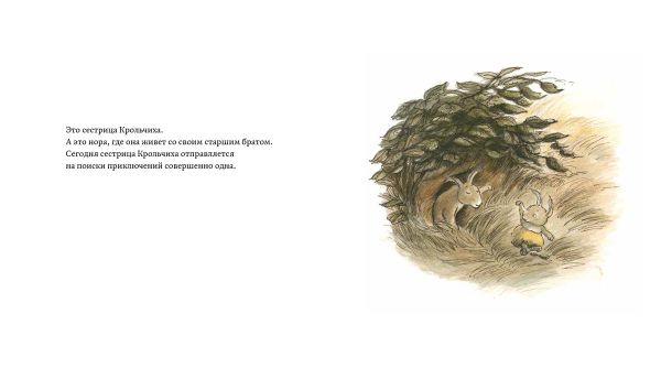Сестрица Крольчиха совсем заблудилась