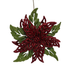 Пуансеттия блестящая