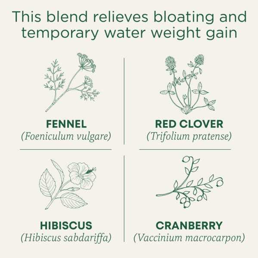 Traditional Medicinals, Organic Weightless, клюква, без кофеина, 16 чайных пакетиков, 24 г (0,85 унции)