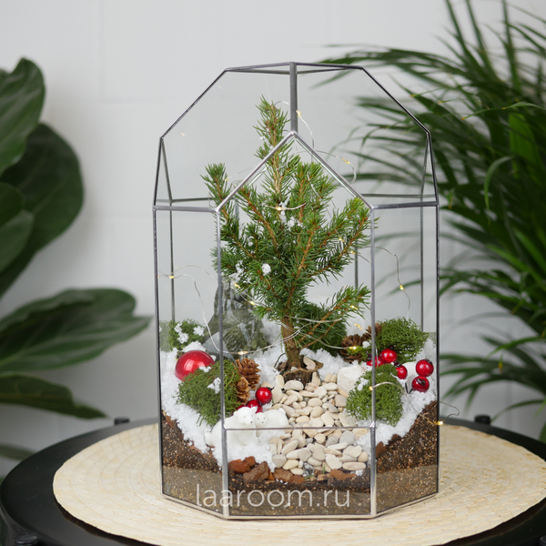 Зимний флорариум Бонсариум с елью