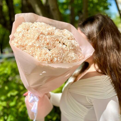 Монобукет из 19 кремовых пышных гвоздик (диантусов). Монобукет 011 Chalet Green