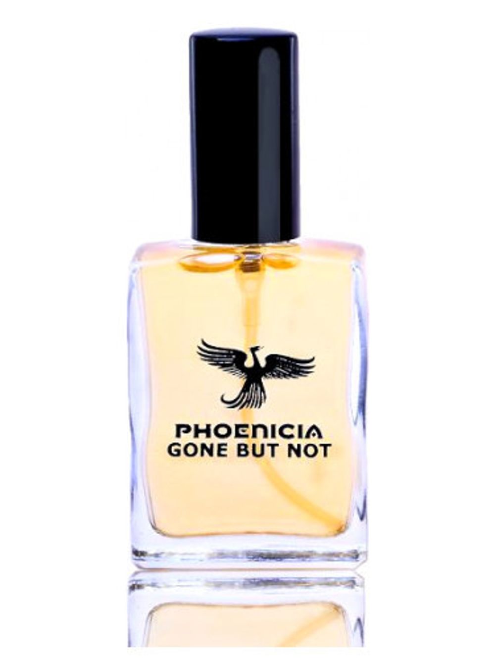 Phoenicia Perfumes Gone But Not