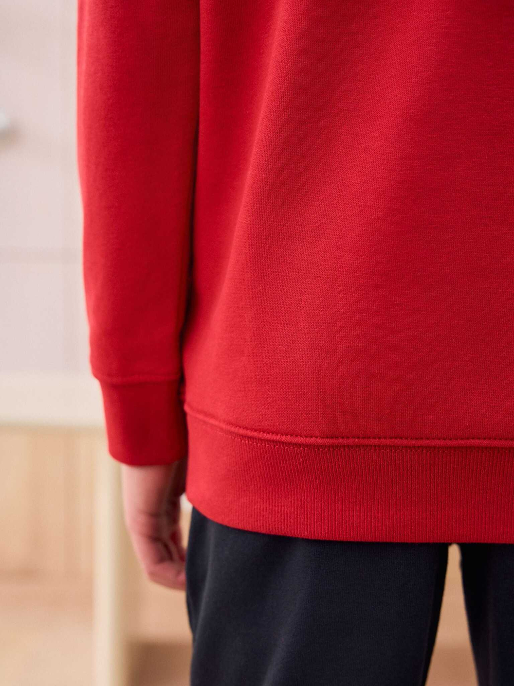 Толстовка для мальчика Next 168-849, Красный