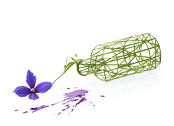 International Floral Art 2021/2022