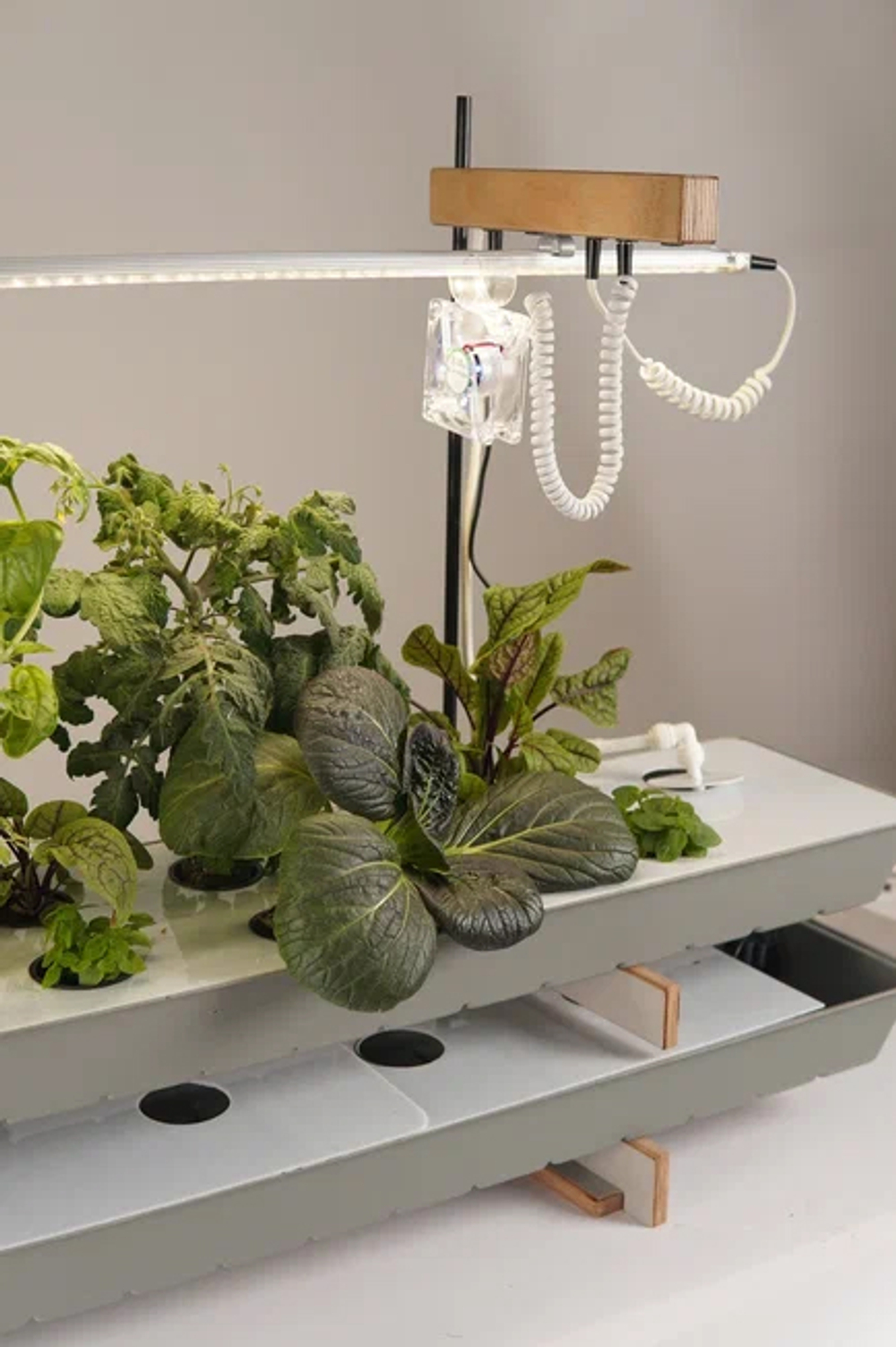 КЛО «Растения и их среда обитания» с принадлежностями