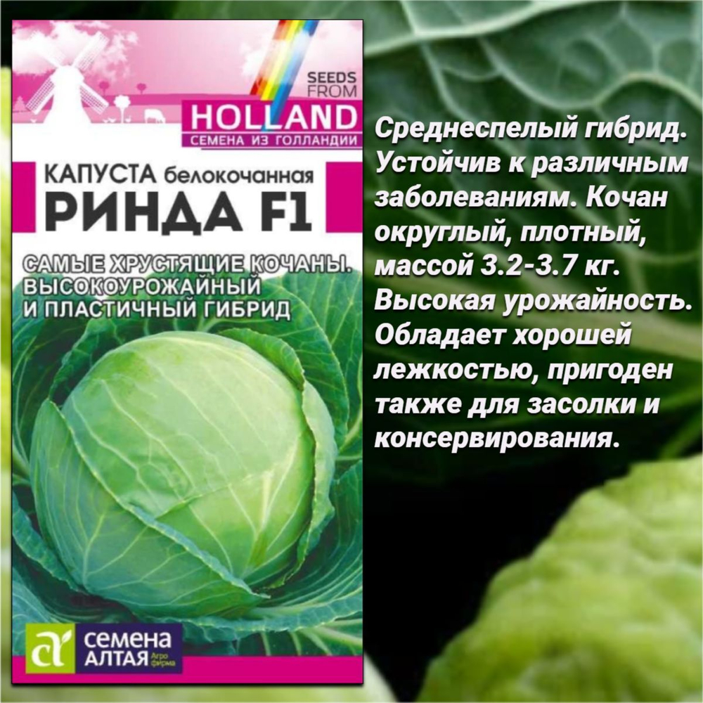 Набор семян белокочанной капусты