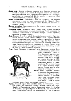 Охотничий календарь. Справочная книга для ружейных и псовых охотников | Л. П. Сабанеев
